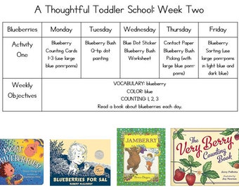 Toddler Curriculum, Ages 1-3, 26 Week Program