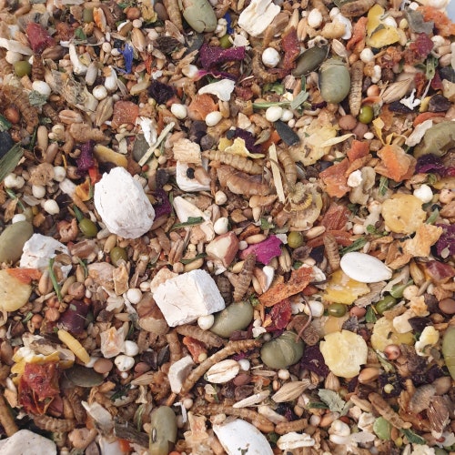 Premium Dwarf Hamster Food Etsy UK