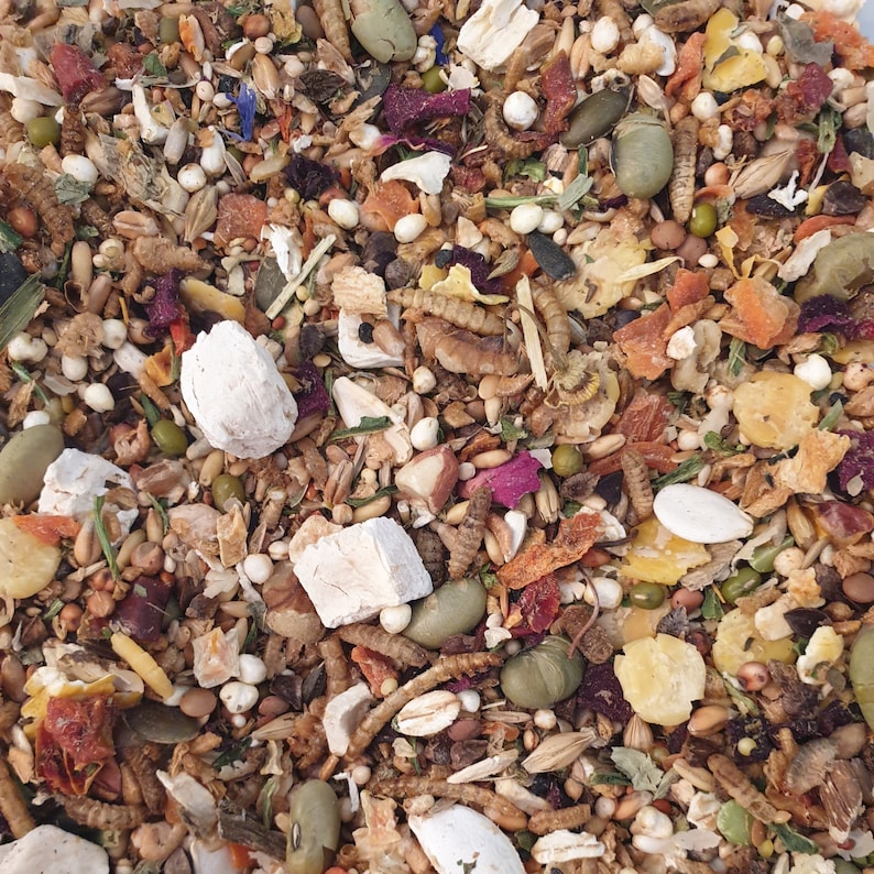 May include: A close-up view of a mix of dried pet food ingredients. The blend includes various seeds, grains, dried insects, and colorful plant matter. The colors range from beige and brown to green, red, and white.