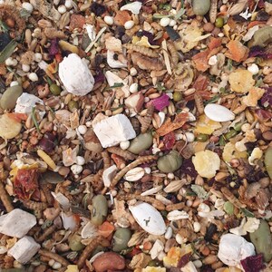 May include: A close-up view of a mix of bird food, featuring a variety of seeds, dried fruits, and insects. The blend includes green beans, white chunks, and small, brown worm-like insects. The colors are a mix of browns, greens, and yellows.