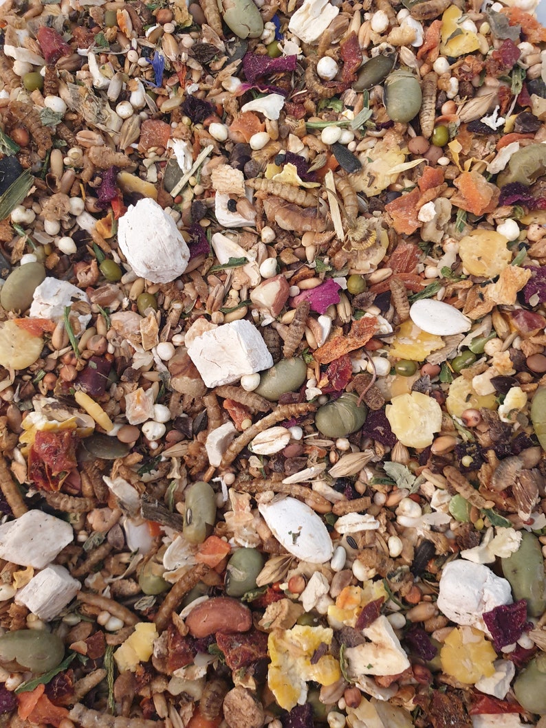 May include: A close-up view of a mix of bird food, featuring a variety of seeds, dried fruits, and insects. The blend includes green beans, white chunks, and small, brown worm-like insects. The colors are a mix of browns, greens, and yellows.