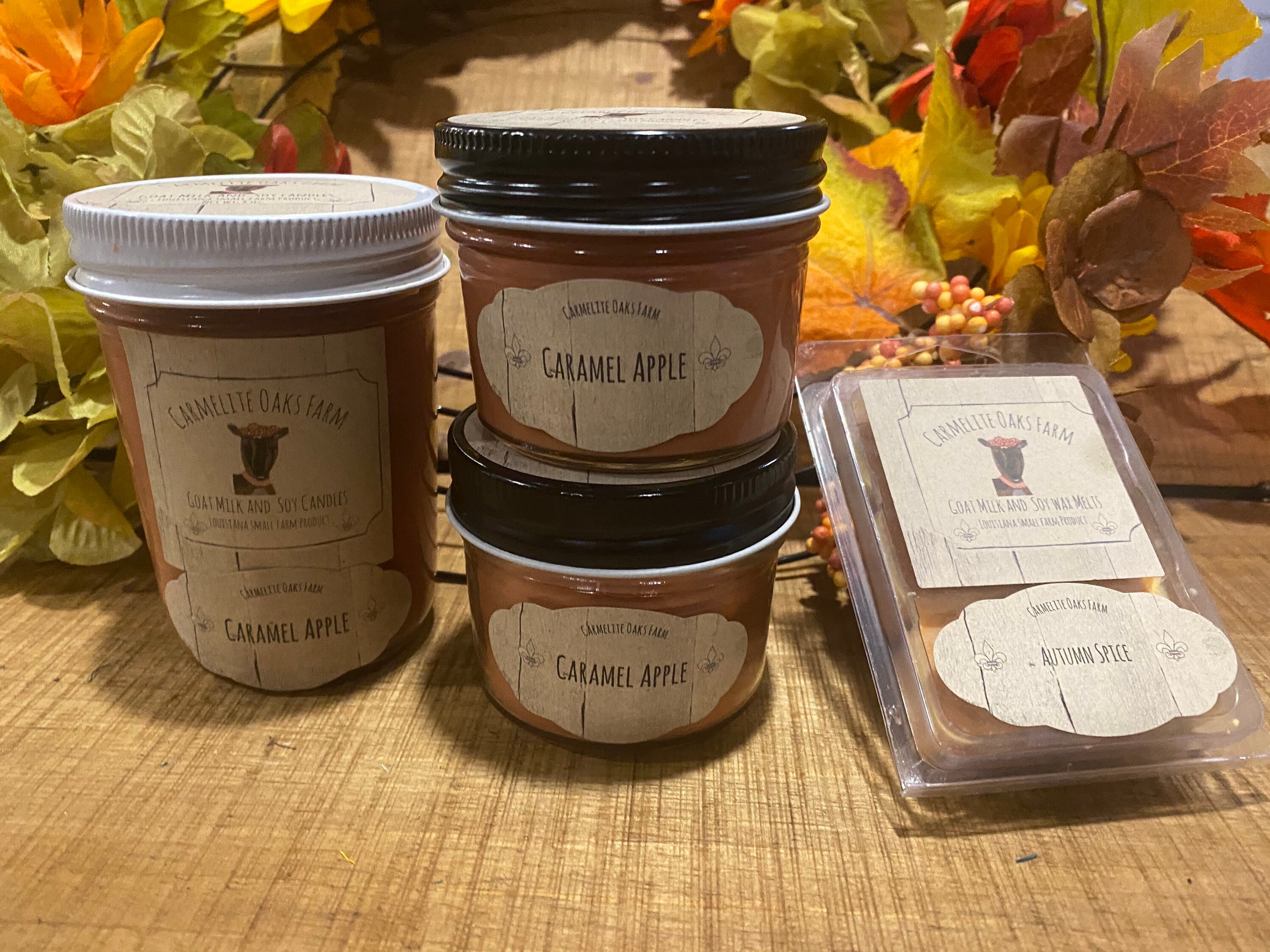 Goat Milk and Soy Candles 8 Ouncefall Scents Etsy Singapore