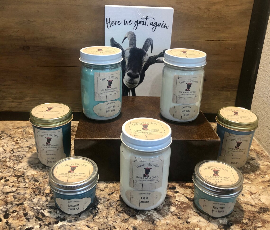 Goat Milk and Soy Candles 4 Ounce Etsy
