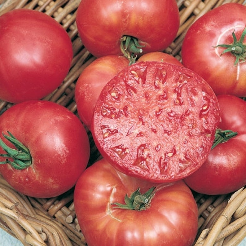 Legendary Mortgage Lifter Tomato HEIRLOOM 30 seeds 100 Etsy