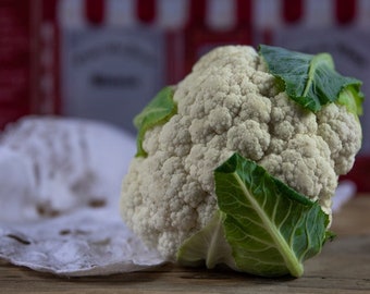 Cauliflower Snowball Y HEIRLOOM 100+ seeds 100% organic Non GMO Grown in USA