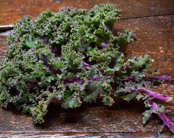 Kale Red Russian HEIRLOOM 100+ Seeds Premium 100% Organic Non GMO Grown In USA