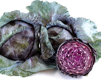 Cabbage Red Acre HEIRLOOM 100+ seeds 100% organic Non GMO Grown in USA