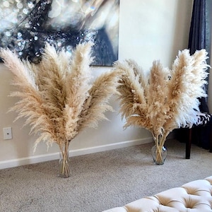 5 Stems TALL PAMPAS GRASS 2-4ft | Grand Sale | Dry Flowers For Home Decor | Boho Style | Wedding Arch | Floral Arranging | Pampas Bouquet