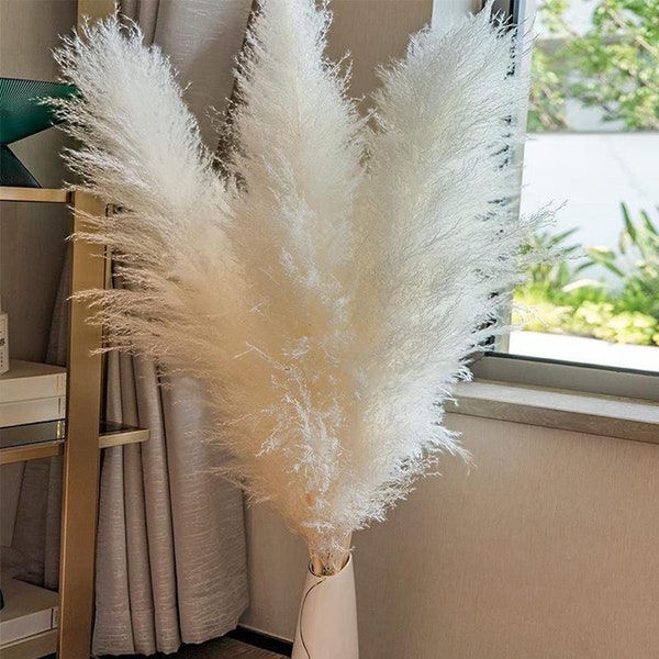 3 Stems Tall WHITE PAMPAS GRASS 3-4ft | Grand Sale | Dry Flowers | Home Decor | Boho Decor | Wedding Floral Decor | Pampas Bouquet