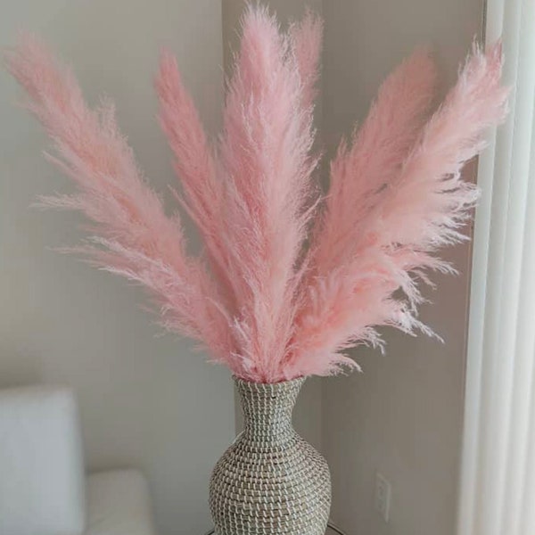 Extra Large Pink Pampas Grass 3-4ft | Dried Pampas Grass For Interior Decoration | Wedding Floral Decorations | Jumbo Pampas Grass