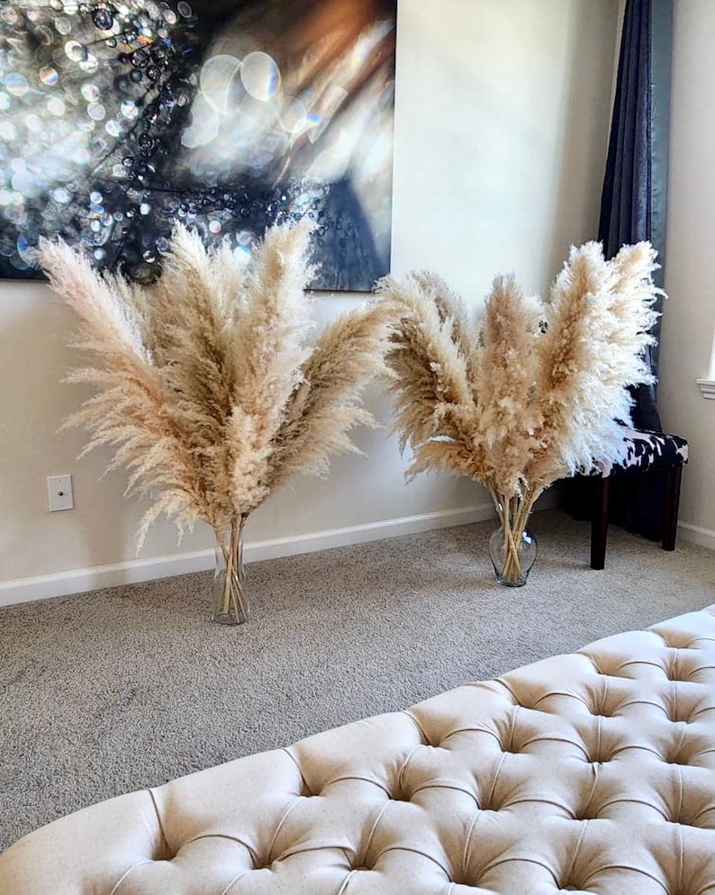10pcs USA-grown PAMPAS GRASS 2-4ft | Grand Sale | Dry Florals For Home Decor | Boho Decor | Wedding Arch | Floral Arranging | Pampas Bouquet image 4