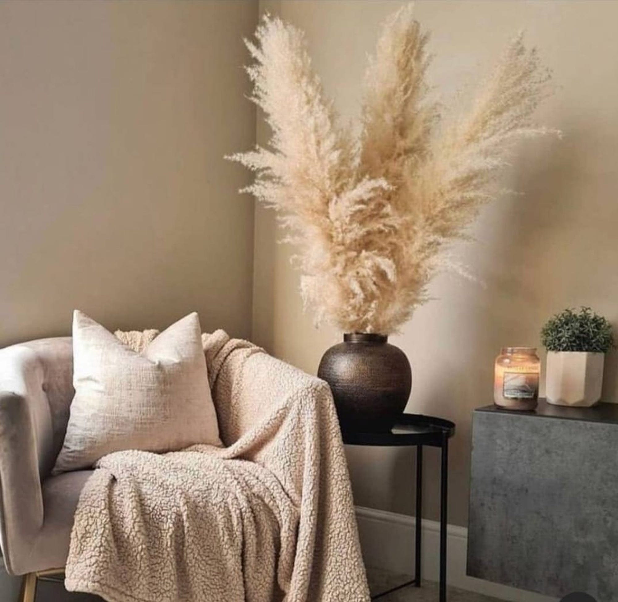 Pampas Grass - Home Decor - 3 Pieces 