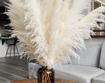 USA-Grown White Pampas Grass: 2-4ft Boho Wedding Arch Decor, Dried Flowers