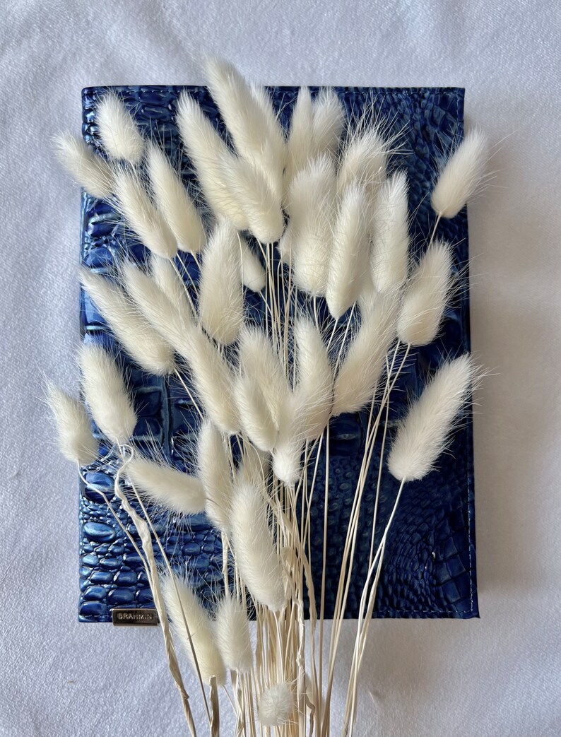 White Bunny Tails Rabbit Tails Dried Flowers for Boho Home Etsy