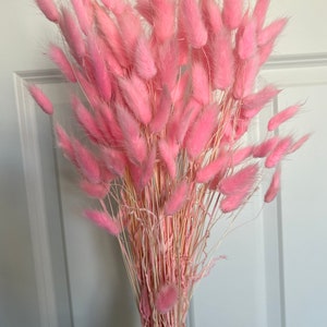 May include: A bunch of pink dried bunny tail grass. The stems are natural and the fluffy tips are a light pink color.