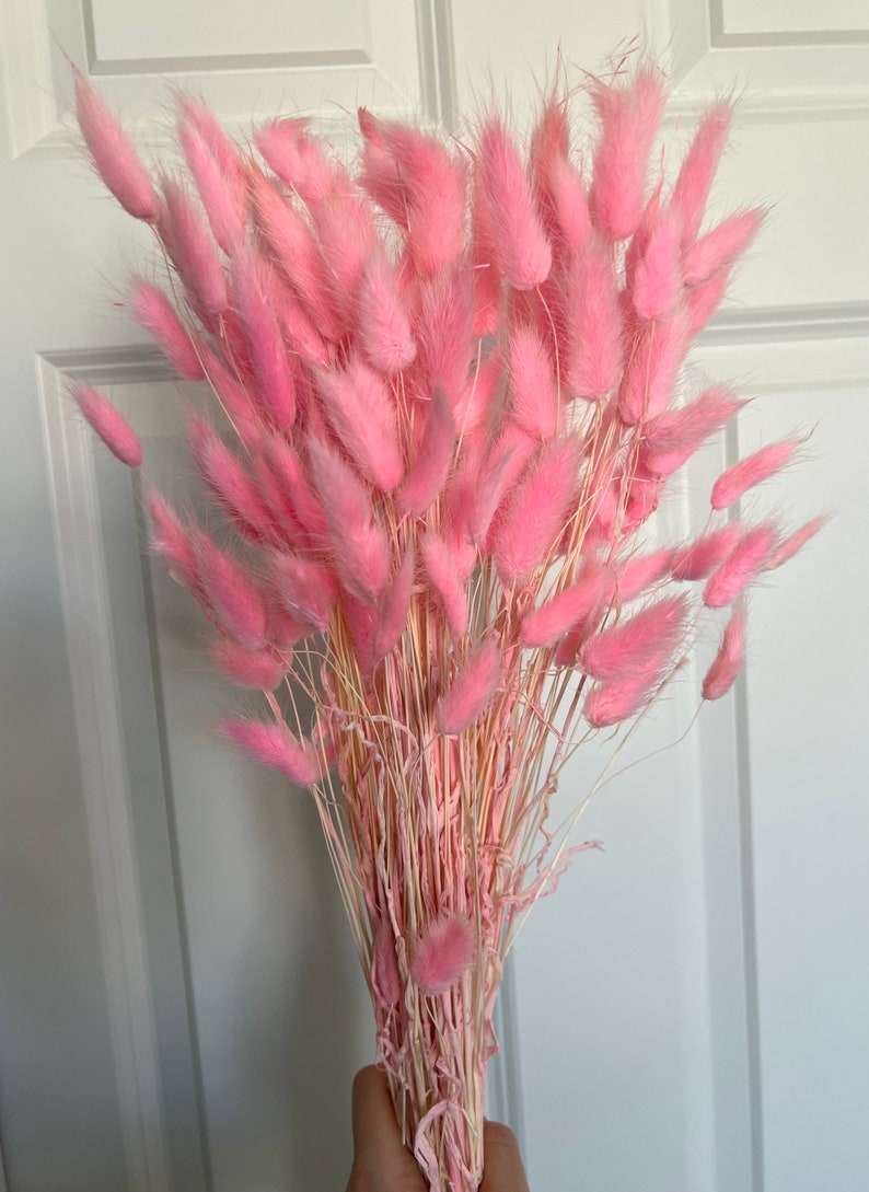 May include: A bunch of pink dried bunny tail grass. The stems are natural and the fluffy tips are a light pink color.