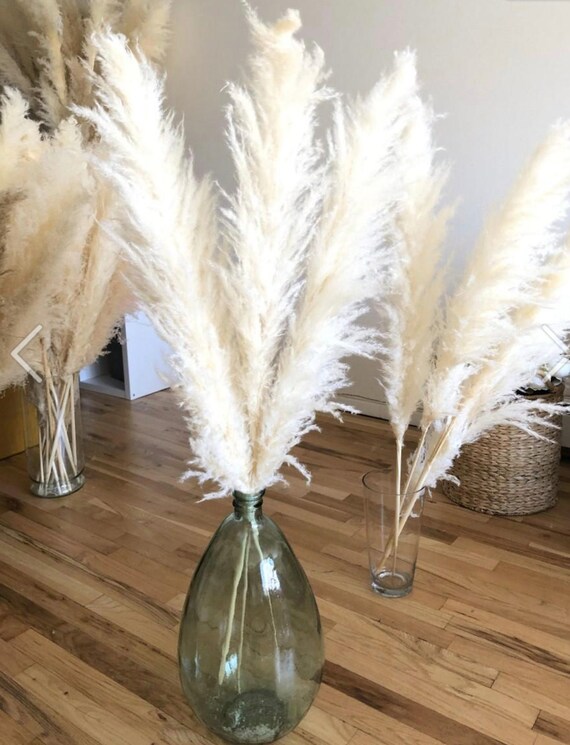 Wedding Floral Decorations Jumbo Pampas Grass 7 Extra Large White