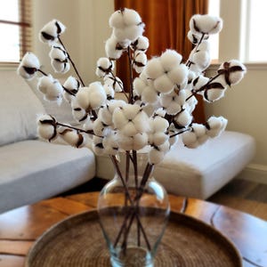 May include: A bouquet of white cotton stems in a clear glass vase on a wooden table with a woven tray. The cotton balls are fluffy and soft, and the stems are brown.