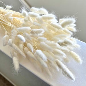 May include: A bunch of dried white pampas grass with fluffy plumes. The stems are long and slender, and the plumes are soft and feathery.