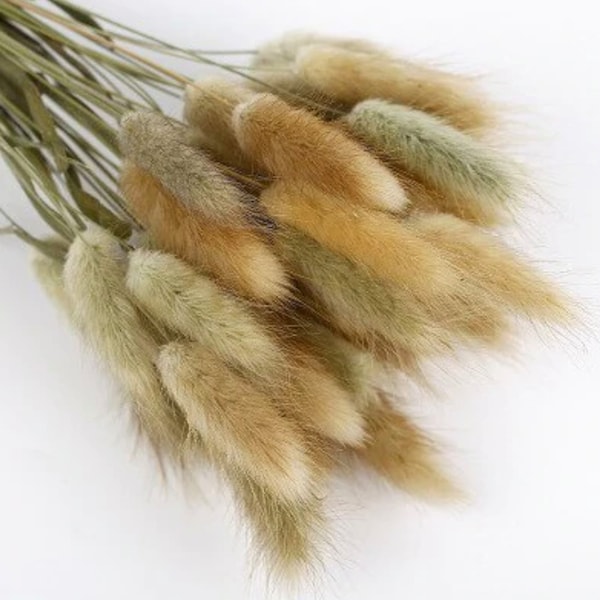 2 Sets Natural Brown Bunny Tails | Rabbit Tails | Dried Flowers For Boho Home Decor | Wedding Bouquet | Wedding Centerpieces | Fall Decor