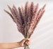 15 Stems Brown Pampas Grass 24' | Brown Pampas Grass | Dried Flowers For Interior Decor | Wedding Floral Decorations | Dyed Pampas Grass 