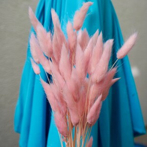 May include: A bouquet of pink bunny tail grass against a bright blue background.