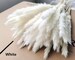 15pcs WHITE PAMPAS GRASS 24' | Dried Flowers For Home Decor | Wedding Floral Decorations | Boho Decor 