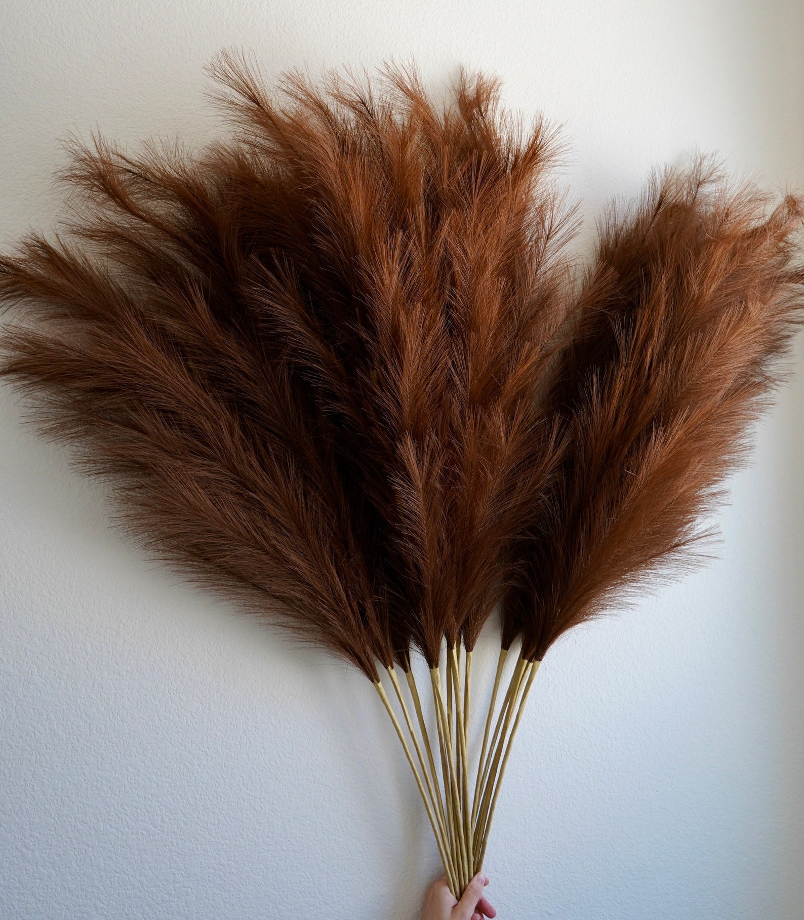 Image of Wedding Pampas Grass