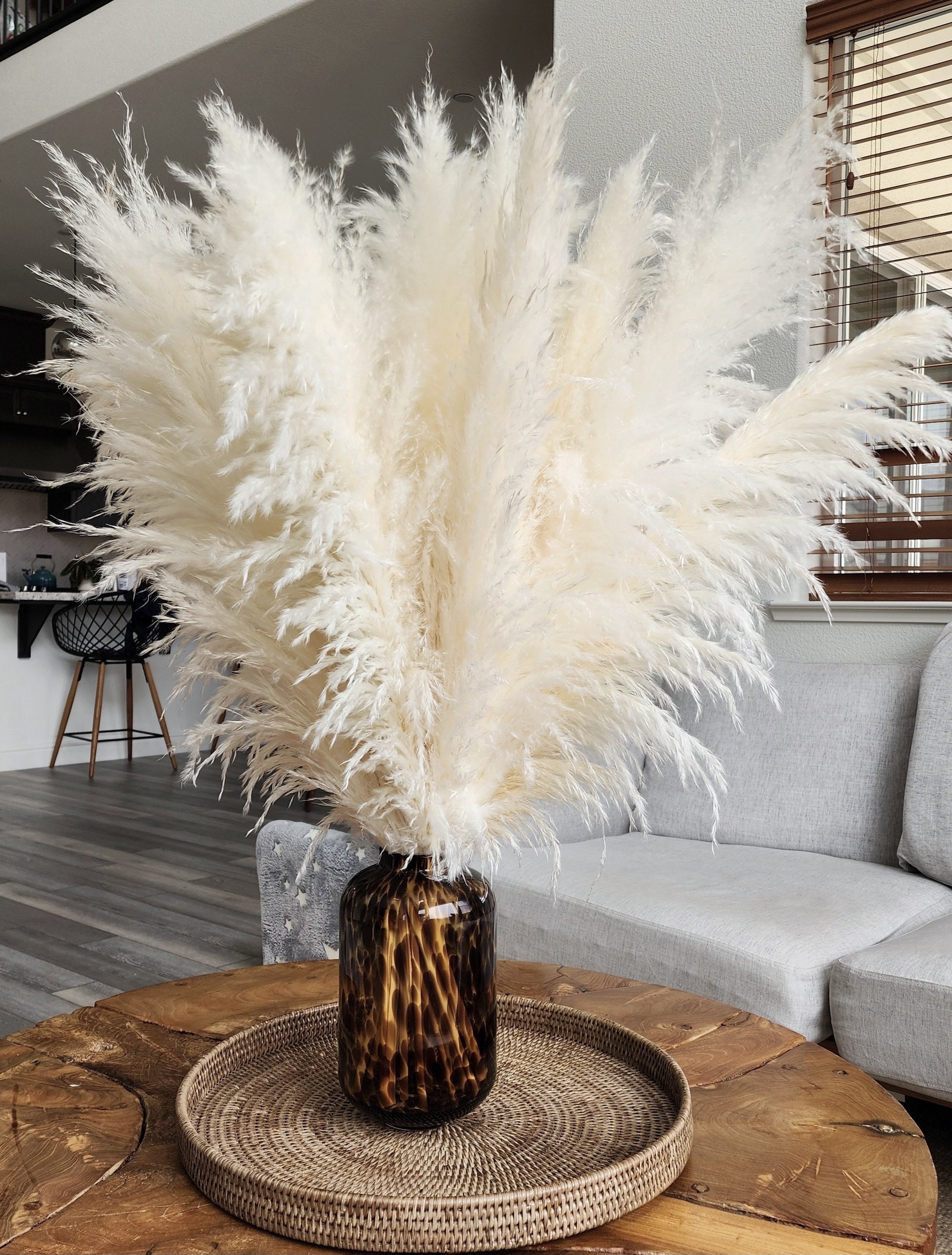 5 Stems USA-grown White PAMPAS GRASS 3-4ft | Grand Sale | Dry Flowers | Home Decor | Boho Decor | Wedding Floral Decor | Pampas Bouquet