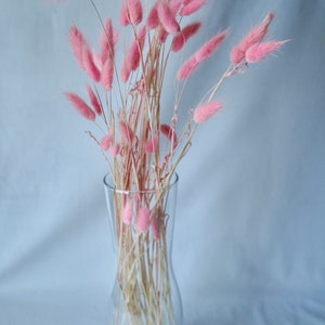 May include: A clear glass vase filled with a bouquet of dried pink bunny tail grass.