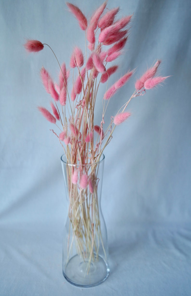 May include: A clear glass vase filled with a bouquet of dried pink bunny tail grass.