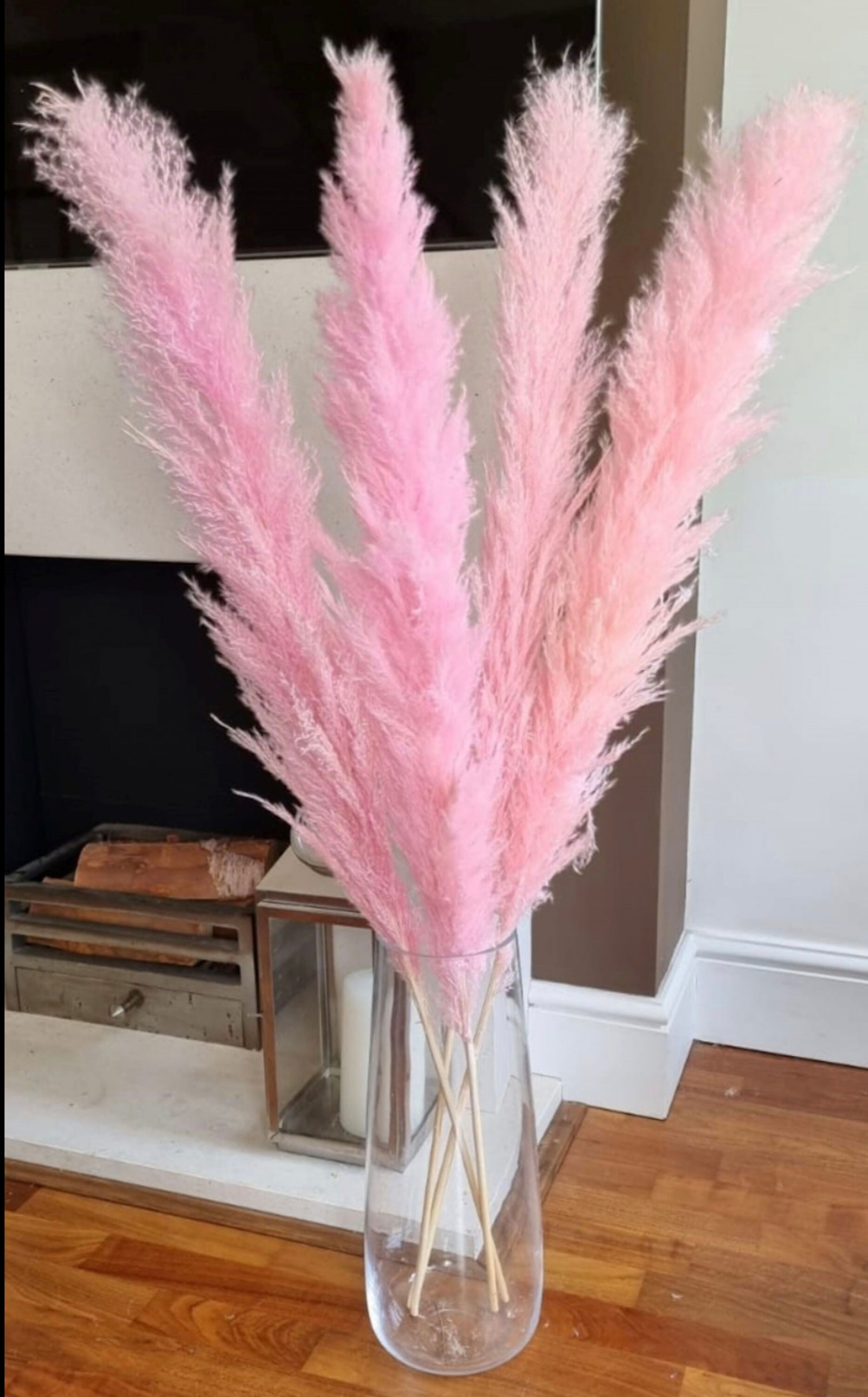 3 Stems Extra Large Pink Pampas Grass 4ft Dried Pampas Grass Etsy
