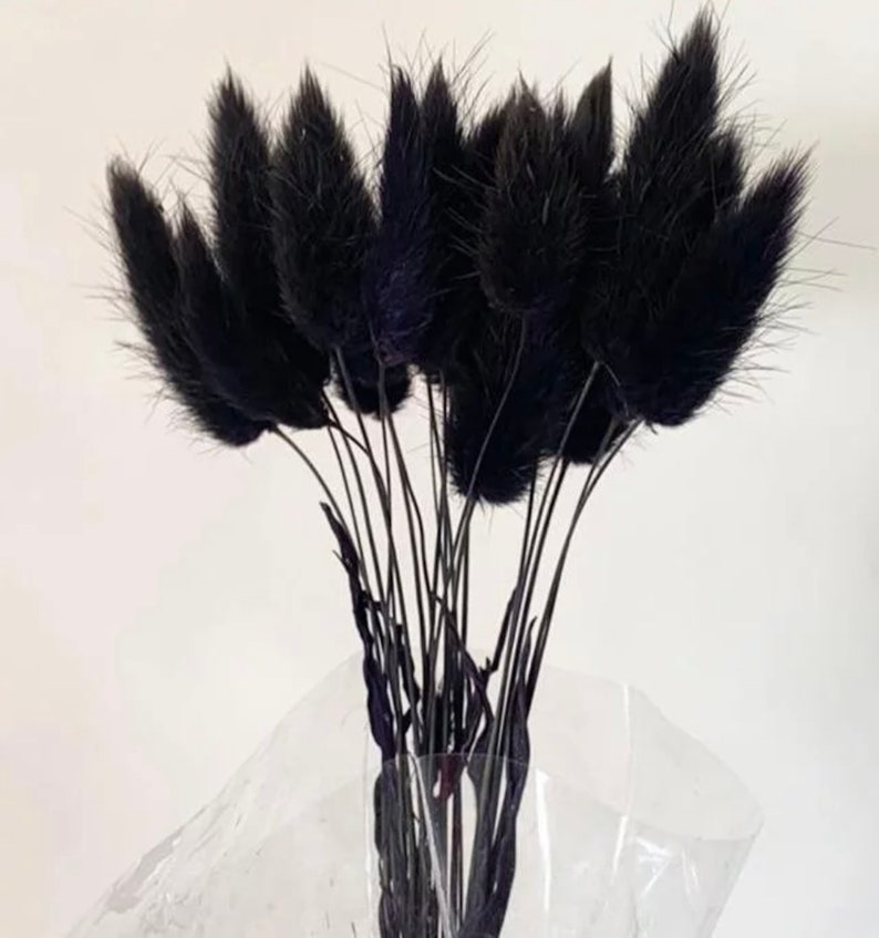 1 Set Black Bunny Tails Rabbit Tails Dried Flowers for Etsy