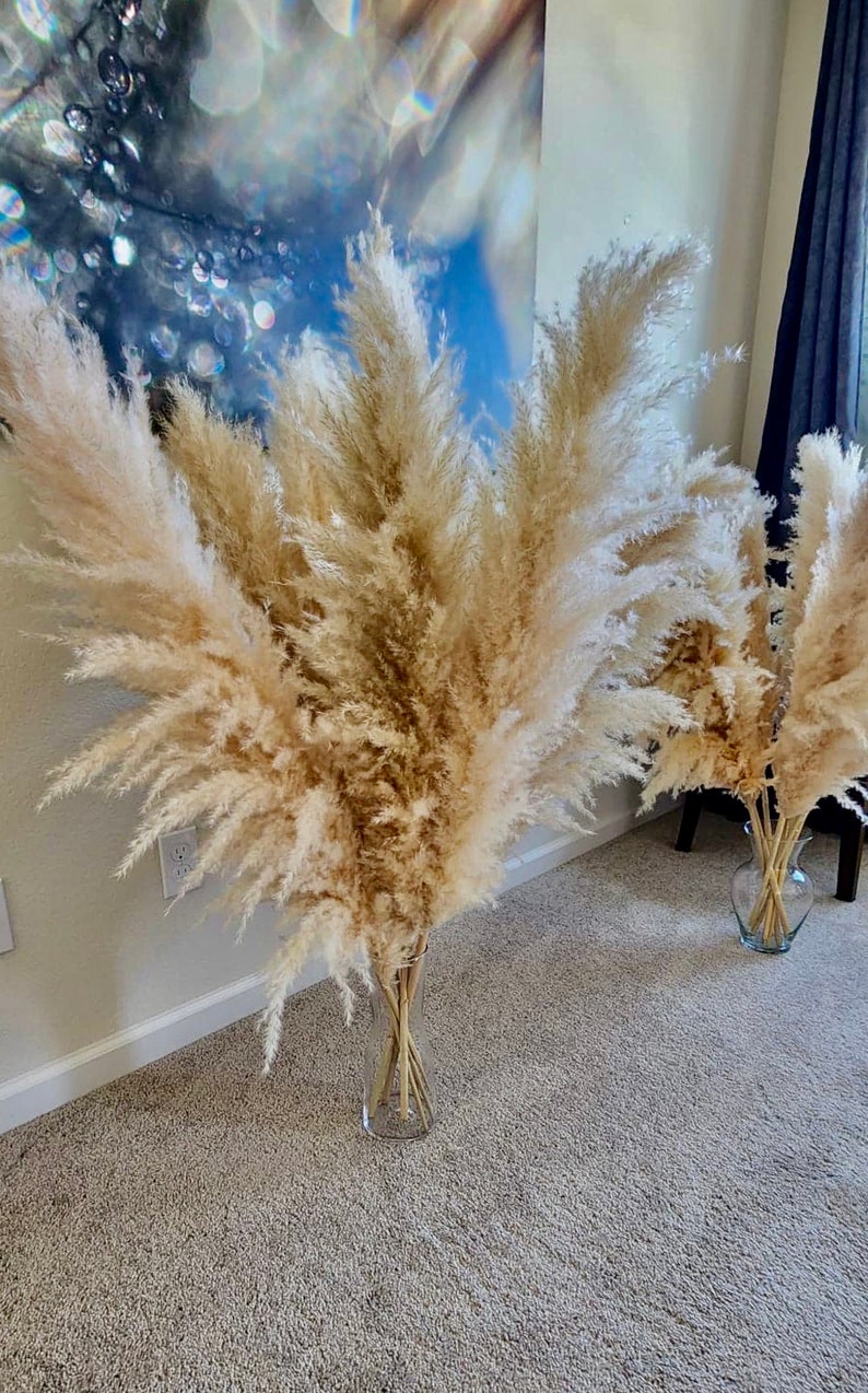 TALL PAMPAS GRASS 2-4ft Grand Sale Boho Home Decor Wedding Floral Decorations Flower Arranging Pampas Bouquet Boho Wedding image 6