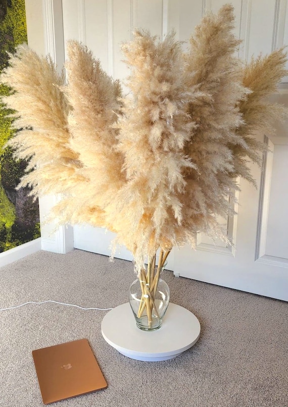 Mantel Decor :: Decorating with Pampas Grass and Peacock Feathers