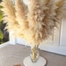 TALL PAMPAS GRASS 4ft | Grand Sale | Dry Floral For Home Decor | Boho Decor | Wedding Arch | Floral Arranging | Pampas Bouquet