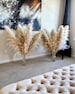 5 Stems TALL PAMPAS GRASS 3-4ft | Grand Sale | Dry Florals For Home Decor | Boho Decor | Wedding Arch | Floral Arranging | Pampas Bouquet 