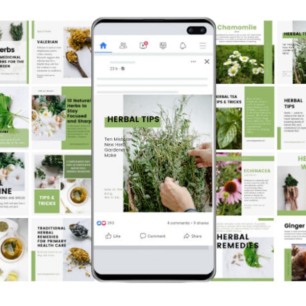 100 Medical Herbs Templates, Herbs Infographics, Health Instagram Template, Health Infographics Instagram, Medical Herbs, Health Templates