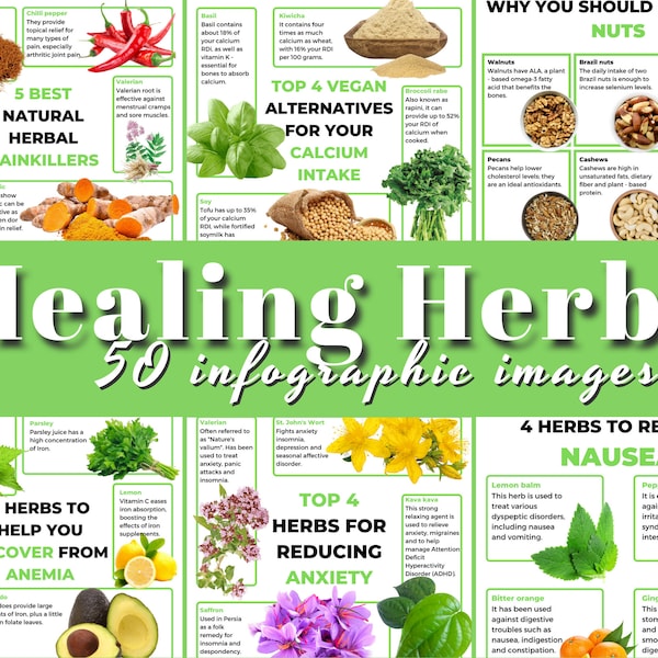 50 Healing Herbs Infographics, Health Infographics Instagram, Health Instagram Template, Medical Herbs, Nutrition Infographics Instagram