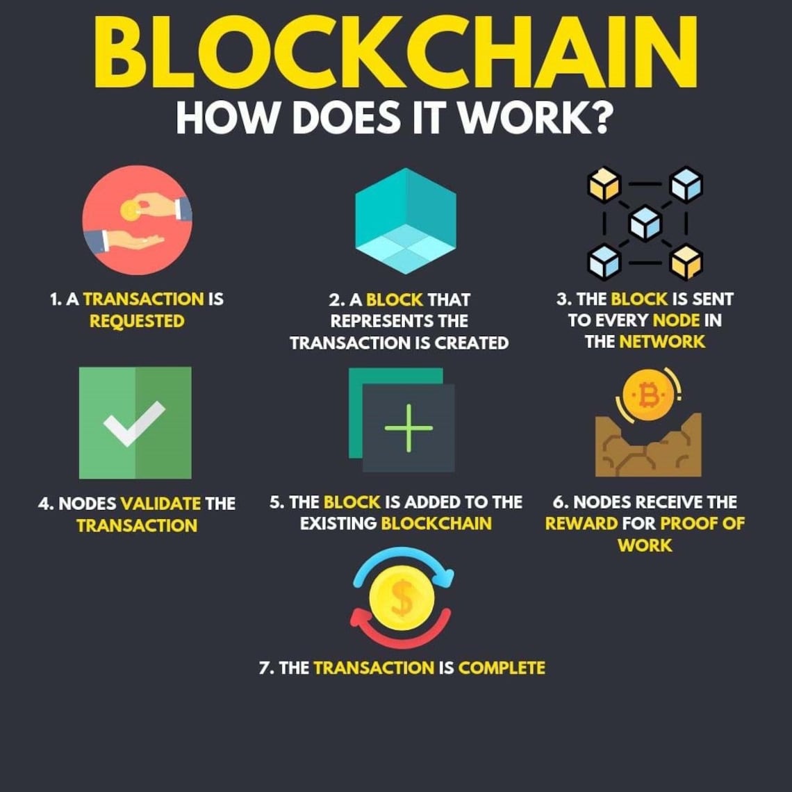 200 Cryptocurrency Infographics Crypto Infographics Bitcoin Etsy