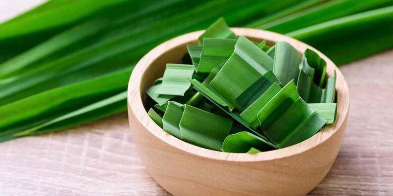 May include: A wooden bowl filled with chopped green pandan leaves. The leaves are a vibrant green color and are arranged in a neat pile.