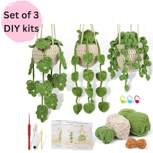 3 packs of Plant Crochet kit, mini hanging plant crochet kit, car hanging plant crochet kit, crochet project, DIY craft kit, gift for her