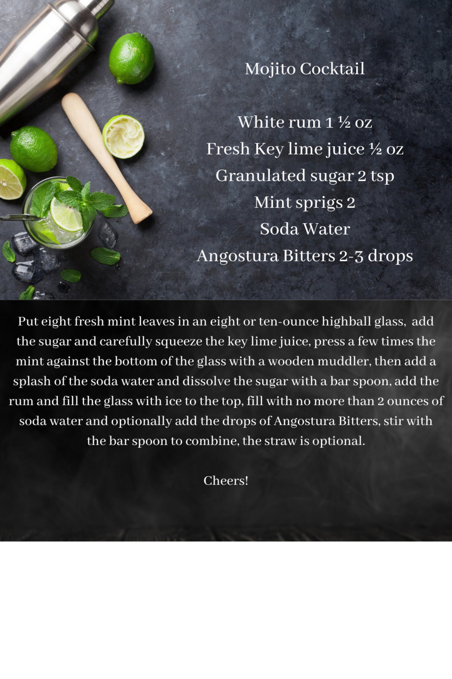 Mojito Cocktail Kit 5 Pieces. Angostura Bitters Included. Cocktail Kit