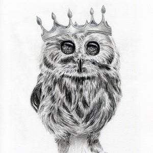 Owl King Charcoal Print - 8X10 or 5X7 Giclee