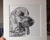 Cocker spaniel - original, limited edition, mounted linocut print