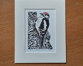 Great spotted woodpecker, original, hand coloured, mounted lino print