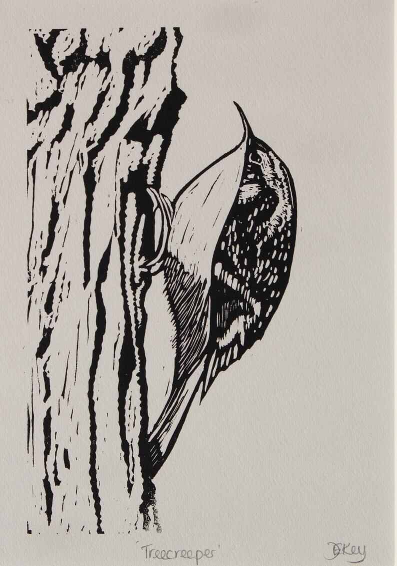 Treecreeper Original Mounted Lino Print Etsy