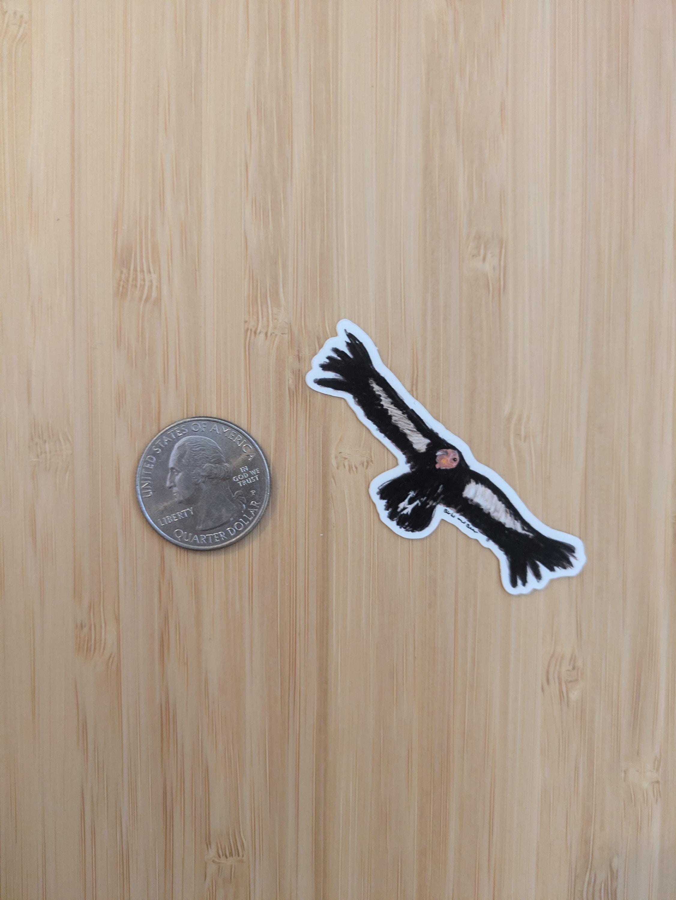 California Condor Vinyl Sticker, Hand-illustrated Bird Art Decal - Etsy
