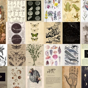 Vintage Wall Collage Kit, Botanical Dark Academia Collage for Dorm or Room Decor, Fairycore Wall Decor, Wall Collage Kit, *DIGITAL 48 pcs