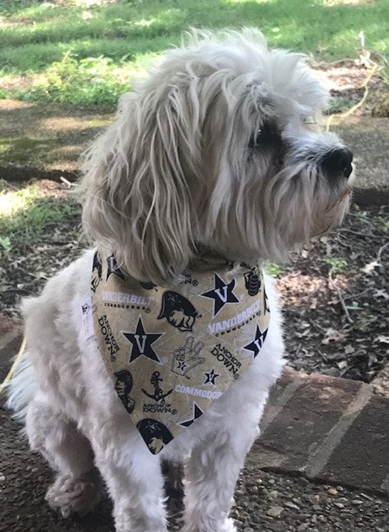 Vanderbilt Hund Bandana Vandy Hund Bandana Commodore Hund Etsy